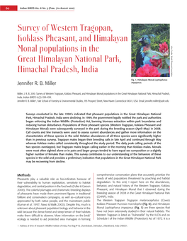 Survey of Western Tragopan, Koklass Pheasant, and Himalayan Monal Populations in the John Corder, World Pheasant Association