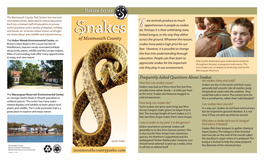 Snakes of Monmouth County