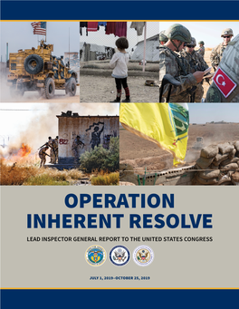 Operation Inherent Resolve, Report to The