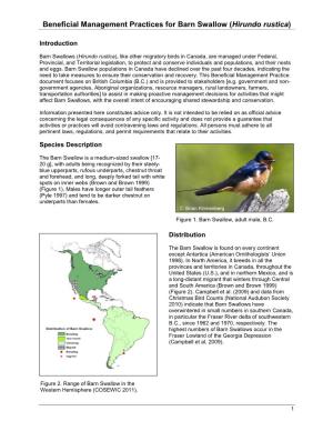 Beneficial Management Practices for Barn Swallow (Hirundo Rustica)