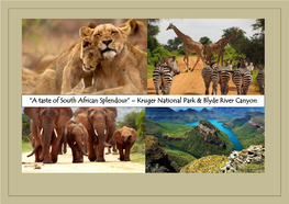 Kruger National Park & Blyde River Canyon