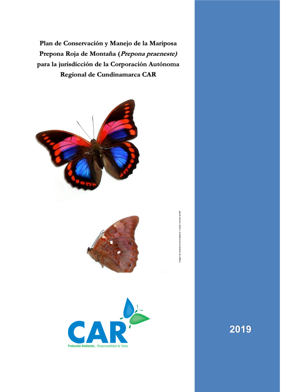 Prepona Praeneste) Para La Jurisdicción De La Corporación Autónoma Regional De Cundinamarca CAR