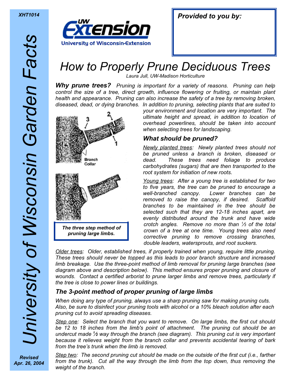 How to Properly Prune Deciduous Trees