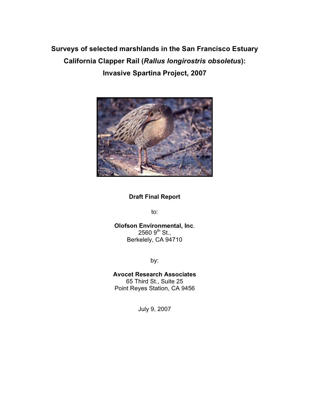 Surveys of Selected Marshlands in the San Francisco Estuary California Clapper Rail (Rallus Longirostris Obsoletus): Invasive Spartina Project, 2007