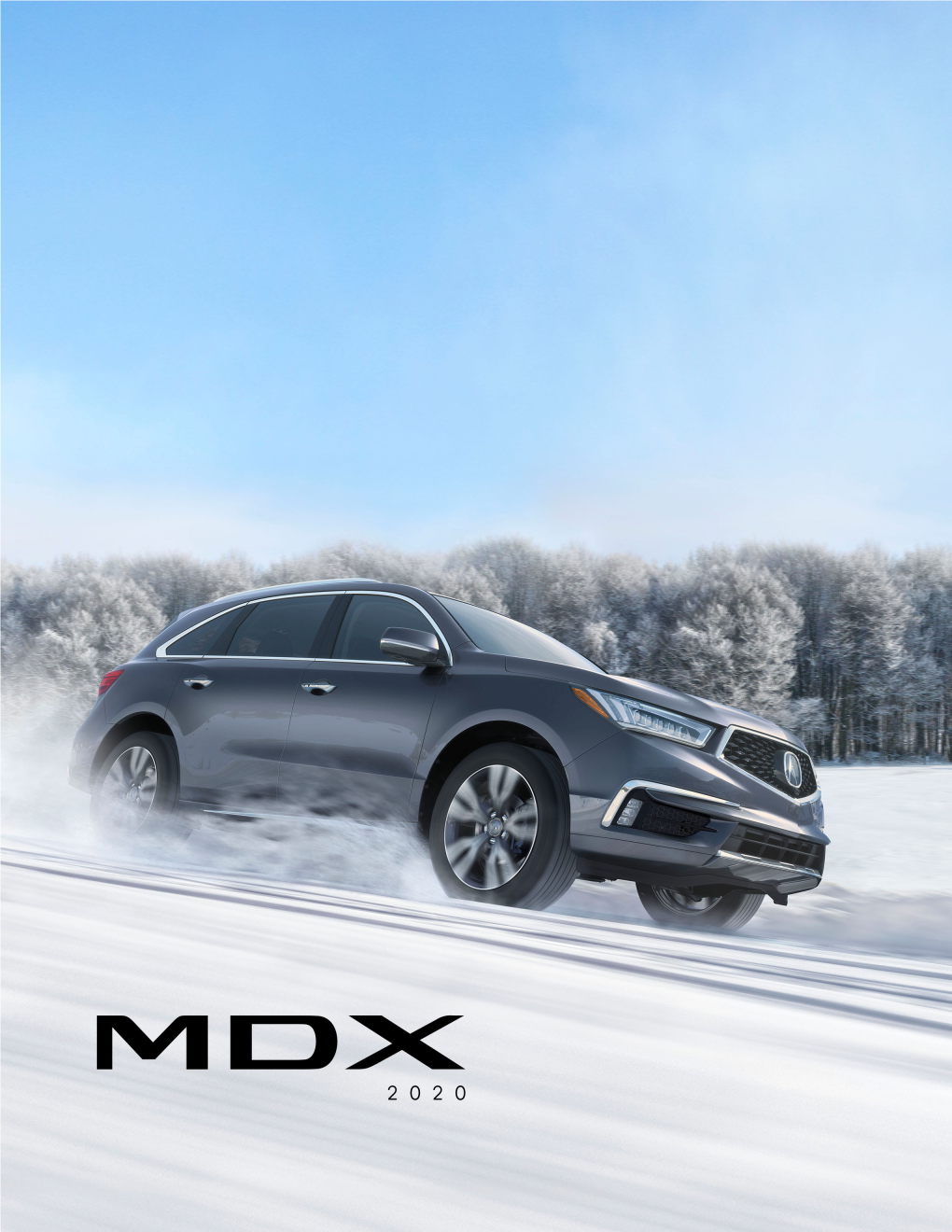 MDX Fact Sheet