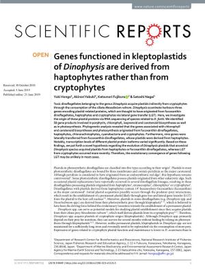 Genes Functioned in Kleptoplastids of Dinophysis Are Derived From