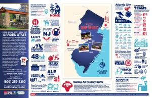 NSV NJ Infographic Sheet