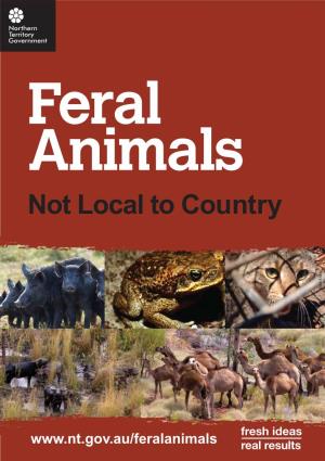 Feral Animals: Not Local to Country