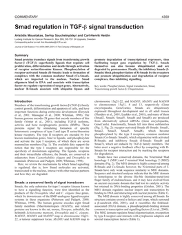 Smad Regulation in TGF-(Beta) Signal Transduction