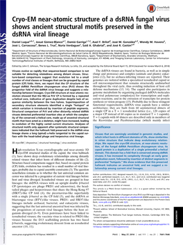 Cryo-EM Near-Atomic Structure of a Dsrna Fungal Virus Shows Ancient Structural Motifs Preserved in the Dsrna Viral Lineage