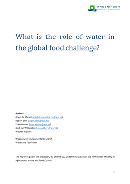 What Is the Role of Water in the Global Food Challenge?