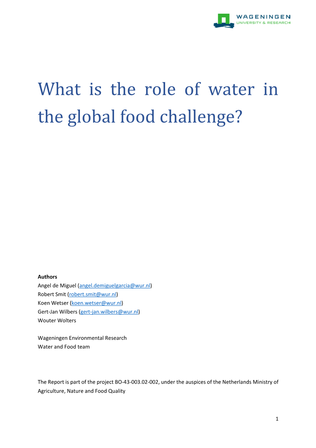 What Is the Role of Water in the Global Food Challenge?