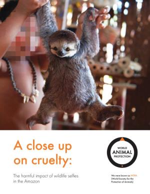 A Close up on Cruelty: the Harmful Impact Of