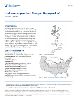 Lonicera Sempervirens Trumpet Honeysuckle1 Edward F