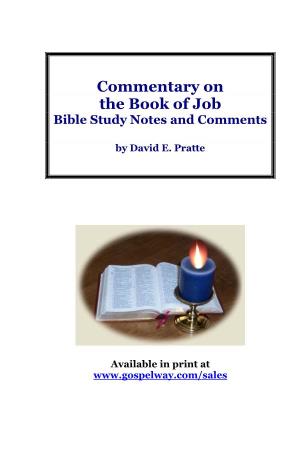 Job Bible Study Notes and Comments