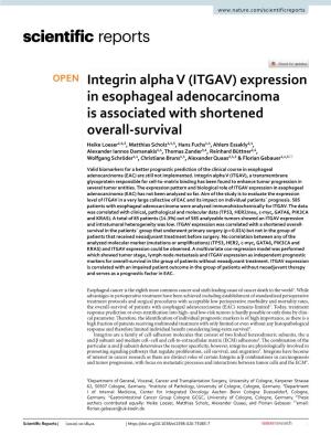 Integrin Alpha V (ITGAV) Expression in Esophageal Adenocarcinoma Is