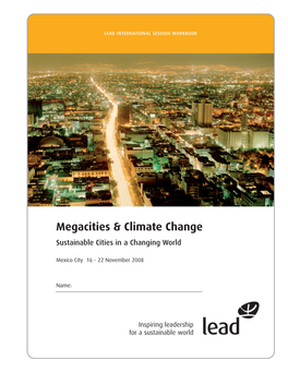 Megacities & Climate Change