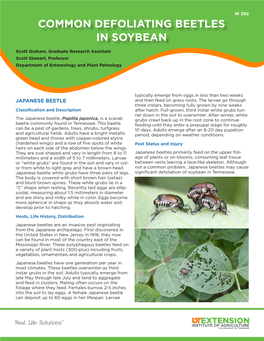 Common Defoliating Beetles in Soybean