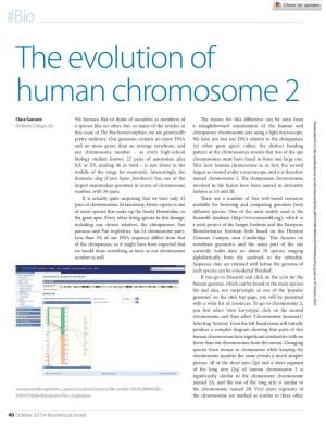 The Evolution of Human Chromosome 2