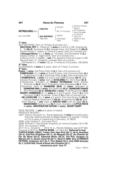 347 Haras Du Thenney 347 INTRIGUING (IRE)