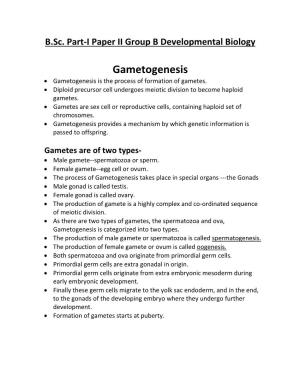 Gametogenesis  Gametogenesis Is the Process of Formation of Gametes