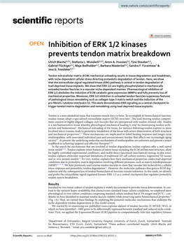Inhibition of ERK 1/2 Kinases Prevents Tendon Matrix Breakdown Ulrich Blache1,2,3, Stefania L