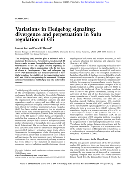 Divergence and Perpetuation in Sufu Regulation of Gli