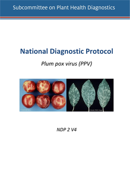 NDP-2-Plum-Pox-Virus-V4.Pdf