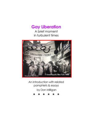 Gay Liberation a Brief Moment in Turbulent Times