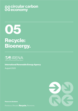 Recycle: Bioenergy (Circular Carbon Economy