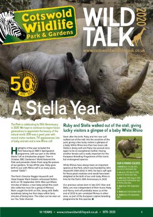 A Stella Year the Park Is Celebrating Its 50Th Anniversary in 2020