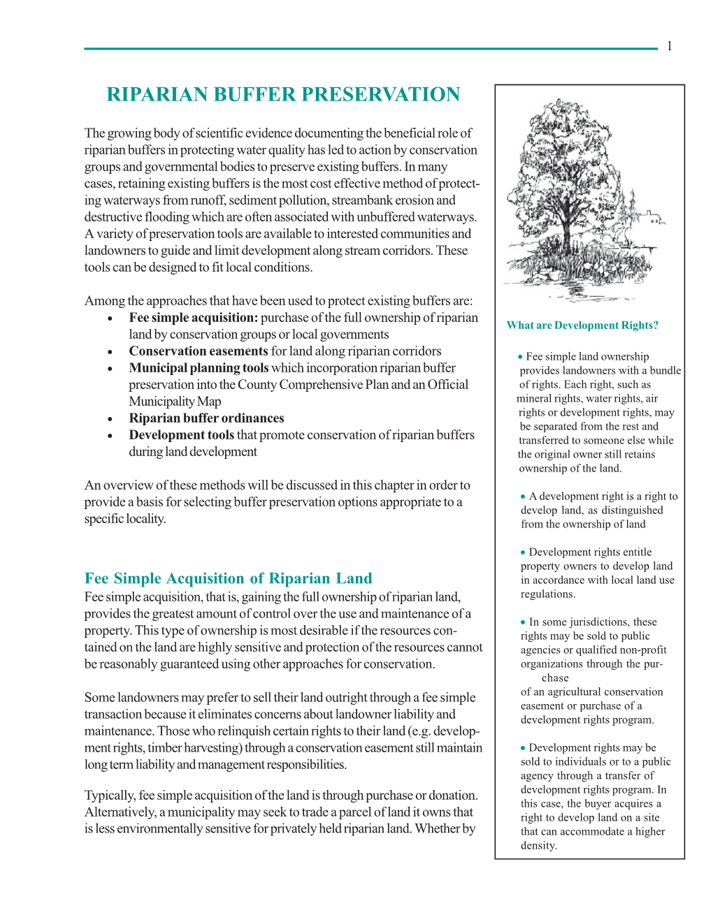 Riparian Buffer Preservation