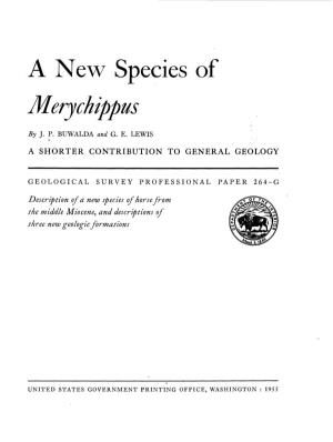 A New Species of Merychippus