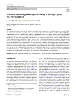 Functional Morphology of the Raptorial Forelegs in Mantispa Styriaca (Insecta: Neuroptera)