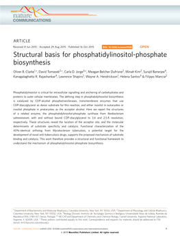 Structural Basis for Phosphatidylinositol-Phosphate Biosynthesis