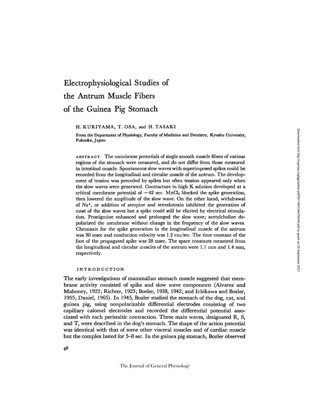 Electrophysiological Studies the Antrum Muscle Fibers of the Guinea