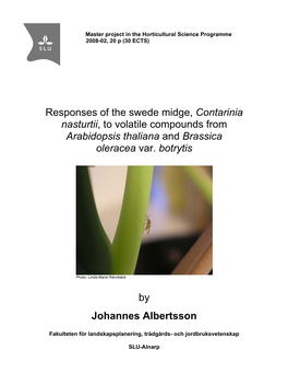 Responses of the Swede Midge, Contarinia Nasturtii, to Volatile Compounds from Arabidopsis Thaliana and Brassica Oleracea Var