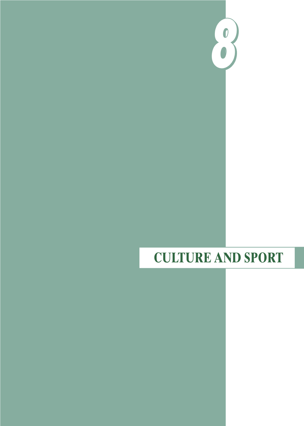 Culture and Sport