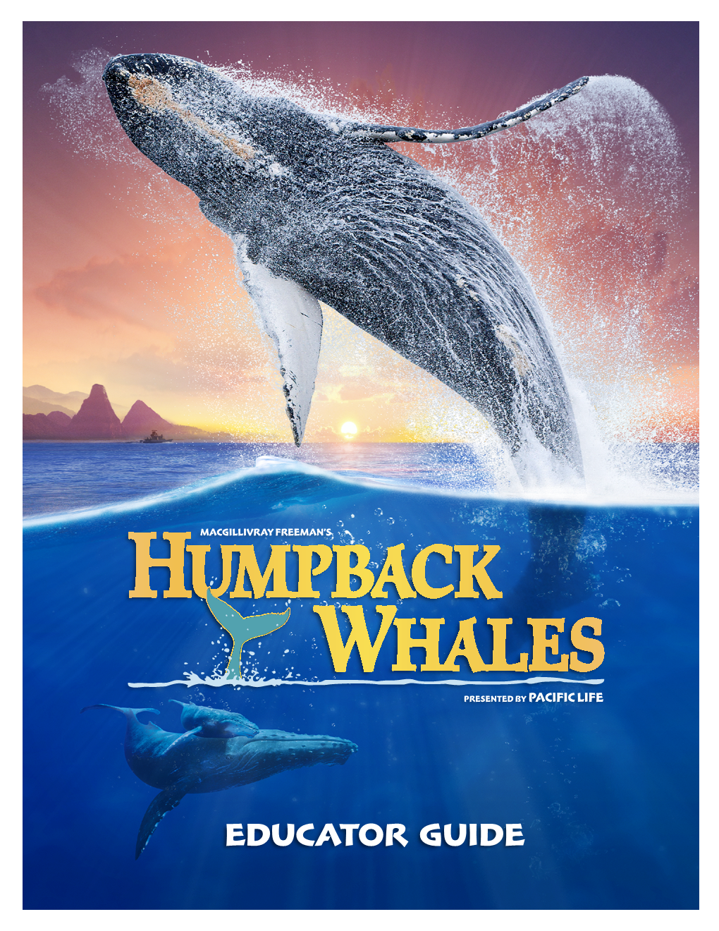 EDUCATOR GUIDE EDUCATOR GUIDE Humpback Fun Facts