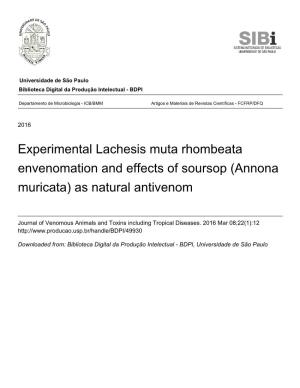 Experimental Lachesis Muta Rhombeata Envenomation and Effects of Soursop (Annona Muricata) As Natural Antivenom