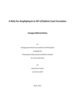 A Role for Amphiphysin in AP-1/Clathrin Coat Formation