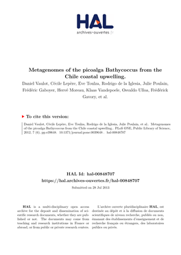 Metagenomes of the Picoalga Bathycoccus from the Chile Coastal Upwelling