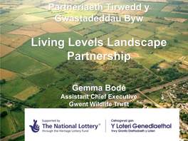 Living Levels Landscape Partnership