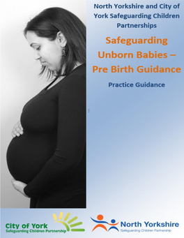 Pre Birth Guidance