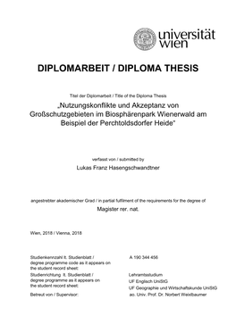 Diplomarbeit / Diploma Thesis