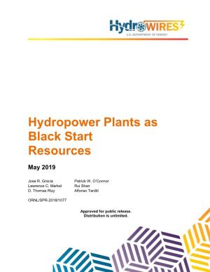 Hydropower Plants As Black Start Resources
