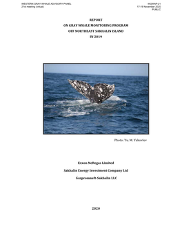 Report on Gray Whale Monitoring Program Off Northeast Sakhalin Island in 2019