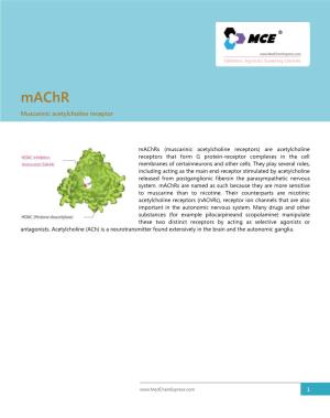 Muscarinic Acetylcholine Receptor