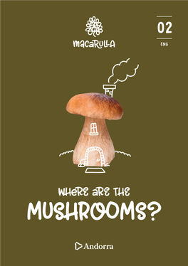 Mushrooms? Where Are the Mushrooms?