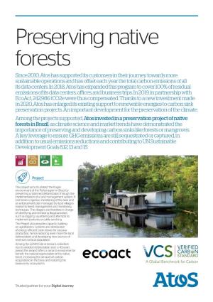 Carbon Offsetting Project in Brazil